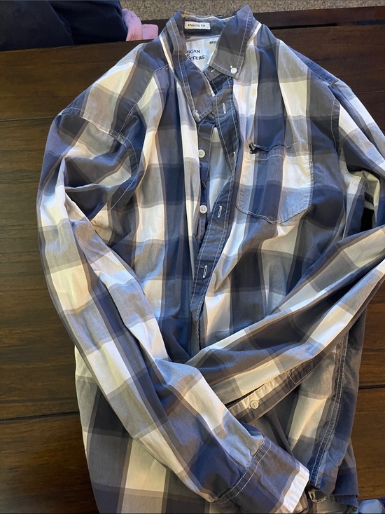 American Eagle Outfitters Other - American Eagle Outfitters Blue and White Plaid Button-Down Shirt